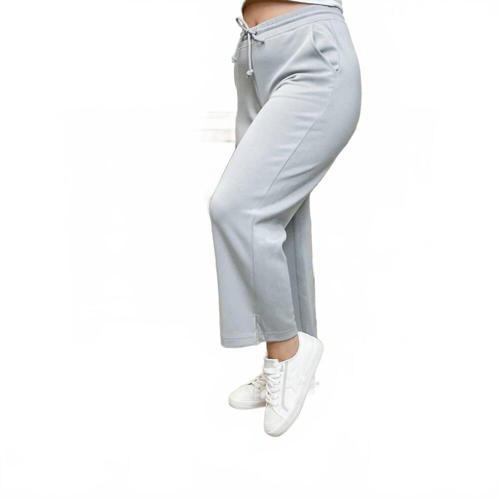 NEW WISHLIST hold the vision elasticized waistband cropped pants in grey